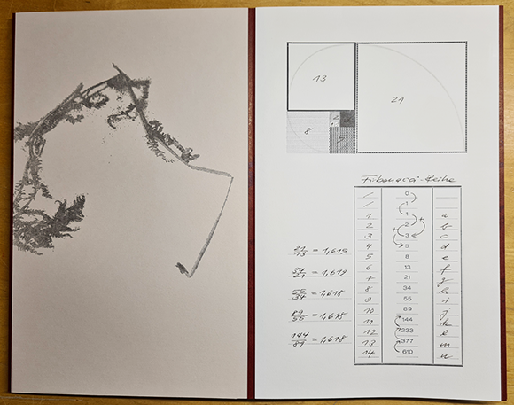 bestandsaufnahme - to take stock